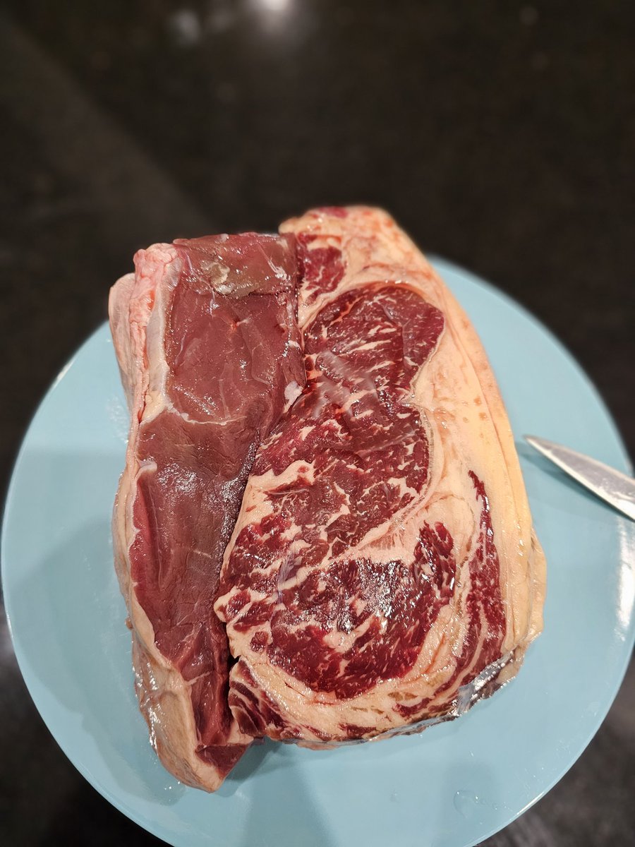 JarrydTB's tweet photo. 6 year old black angus cow and a 18 month old black angus stag 🤔 

I wonder how they will eat ?

My guess is pretty darn good considering I know the animal husbandry was tip top👌
 #meateater #carnivore #animalhusbandry #steak #porterhouse #sirloinsteak #australia #meat #butcher https://t.co/UGdFMTjzCc