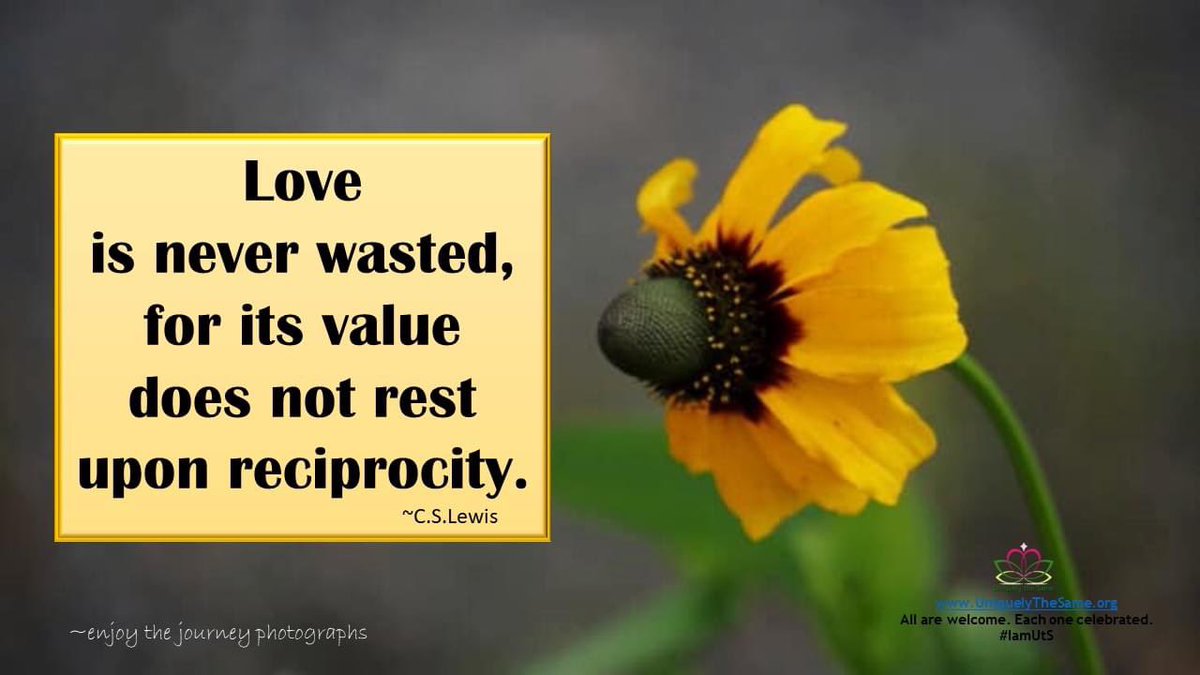 UTSORG's tweet photo. Love is never wasted...
https://t.co/97aot2QA1a
All are welcome. Each one celebrated.
#IamUtS  

*photo by Andrea Duncan - enjoy the journey photographs https://t.co/bhbMl2d41B