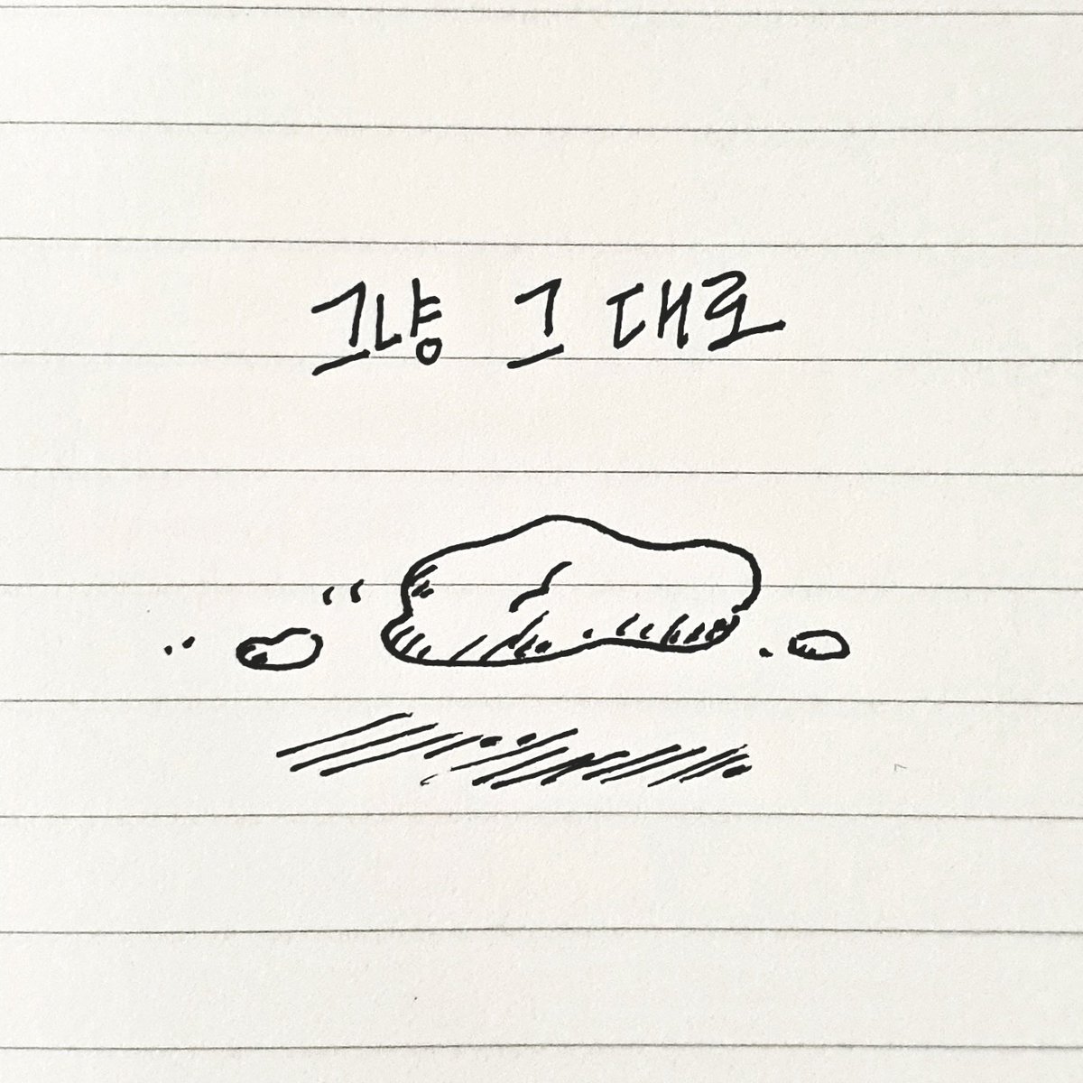 그냥 그대로 