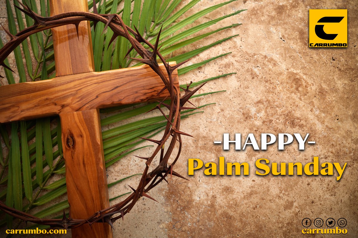 _carrumbo's tweet photo. Happy Palm Sunday!

@_carrumbo https://t.co/HpO102F98i