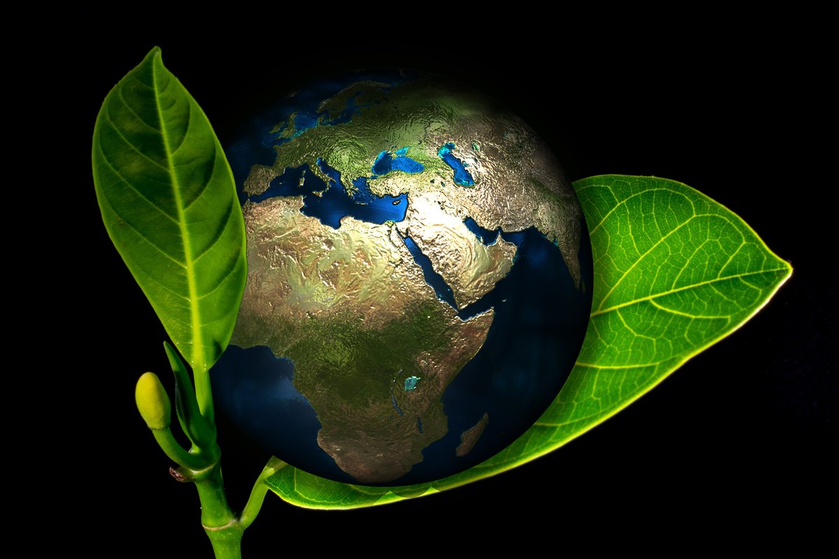 Norb_Lawrence's tweet photo. We have only one Mother Earth. We must do erverything we can to protect her.
#earth #climate #disaster #protction #doitnow
@suvarierol @PamplinFilmCo @Hezzah
@Ginsterbabe @fraveris
@RickPamplin @susanaCP2017
@CarmenMar1a @MaggiePamplin https://t.co/nzU9CYOMu4
