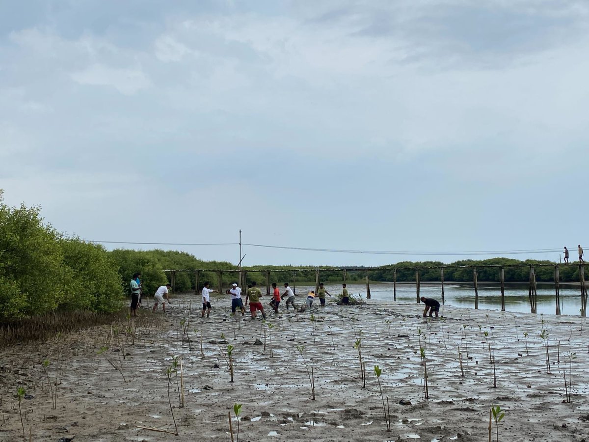 Odisha Paryavaran Sanrakshan Abhiyan Trust tweet media