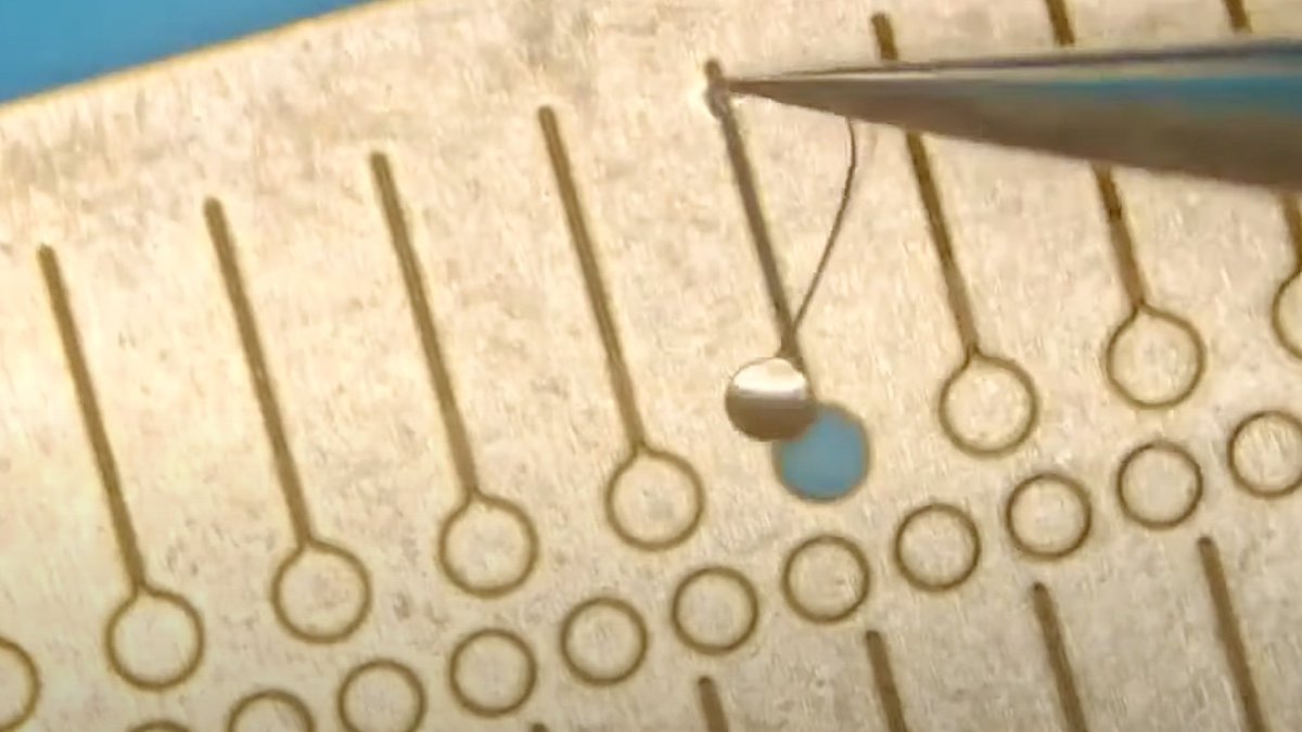 Alex Hude tweet media