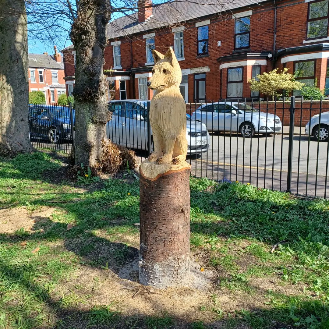 OldMoatPark's tweet photo. Lovely afternoon in the park for our monthly litter pick and clean up for our #McrSpringClean23 event, great to see the park being used by so many local people. The new wooden animal sculptures, funded by @SouthwayHousing, were looking good in the sunshine too. https://t.co/ANPUG4fpJ4