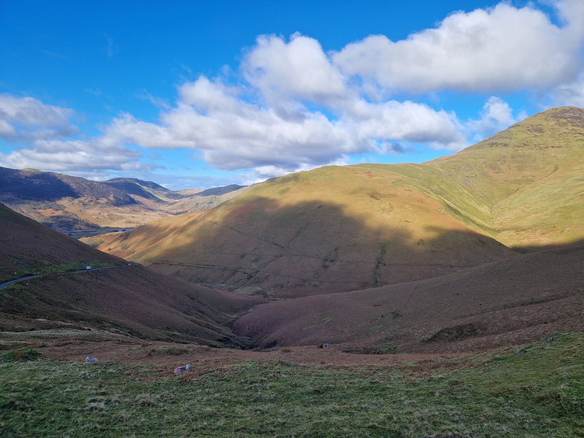 Jon Chamberlain tweet media