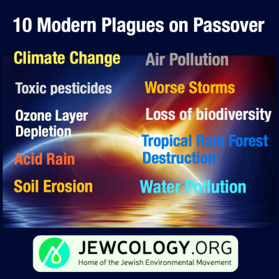 Aytzim's tweet photo. God provided the Biblical plagues to free the Israelites; today we must apply God’s teachings in order to save all the people who live on our endangered planet. More…https://t.co/VOBXpZDG7W @Aytzim @EcoJewsOfTheBay @ecodave @RichardSchwart3 https://t.co/9RtElyglHf

— Jewcol…