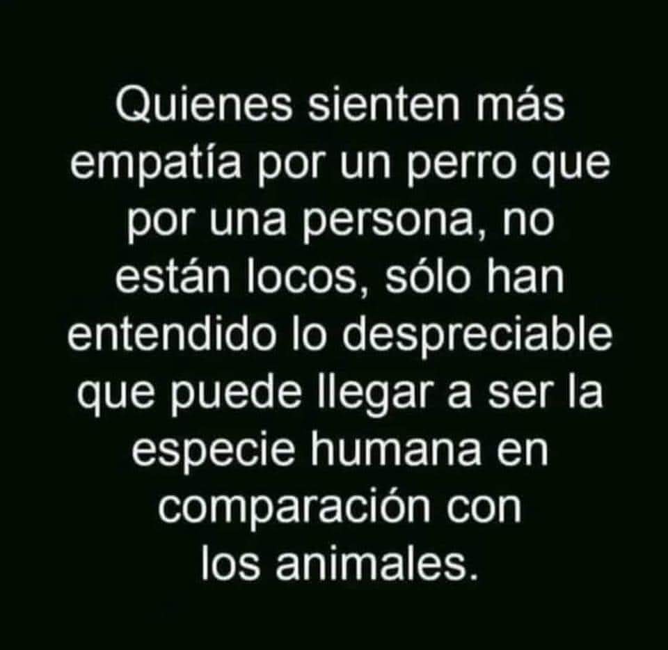 Perrosenlacalle's tweet photo. A mí y a ti nos pasa esto, verdad? https://t.co/oFVwA6NiXI