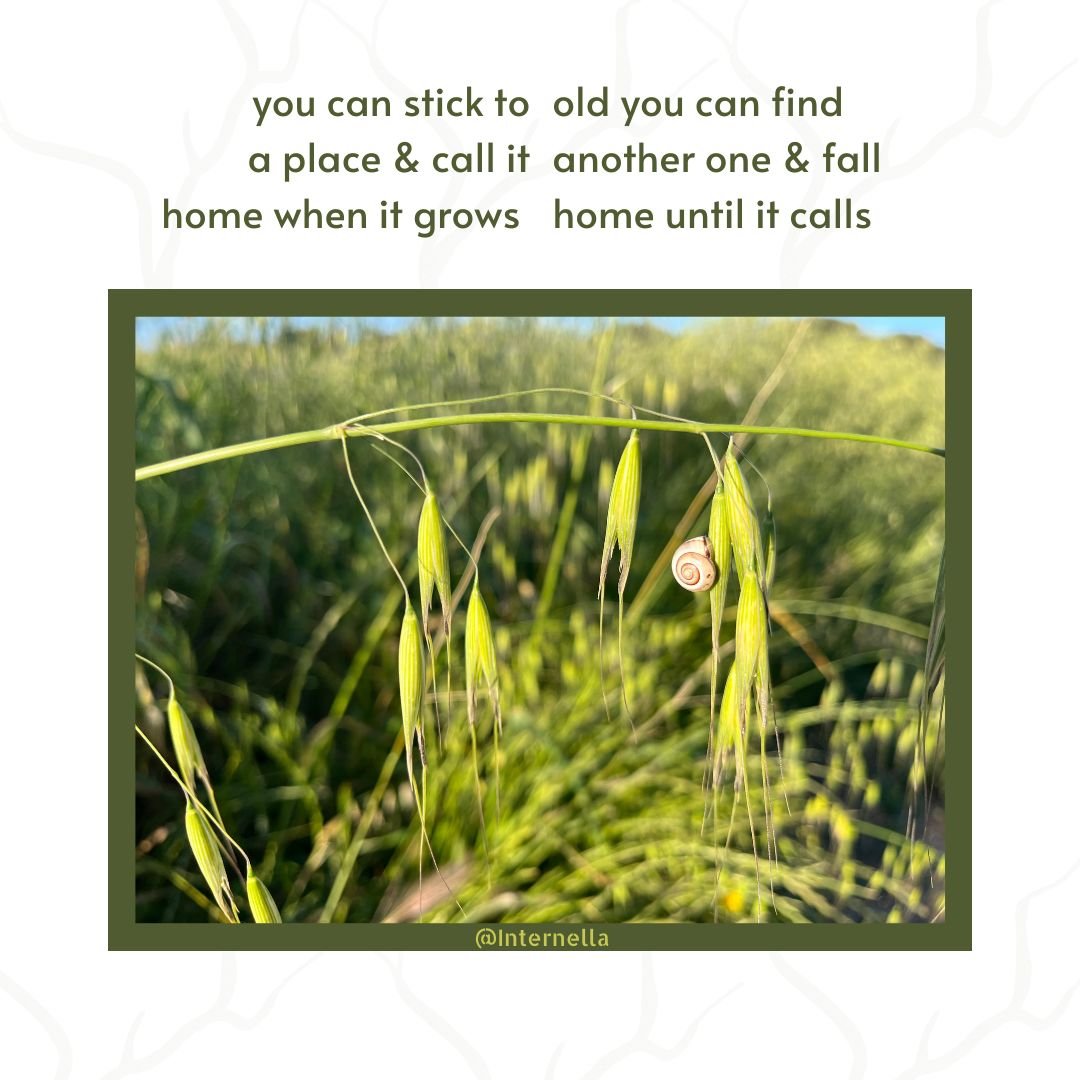 April 2 - Collected from <a href="/Internella/">Internella</a> ❤️‍🔥

Eds available - objkt.com/profile/tz1eFC…