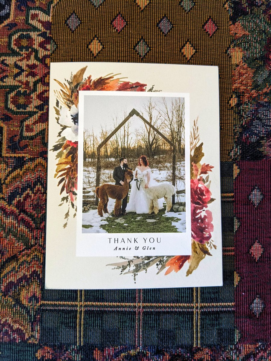 Oak Hills Alpacas tweet media