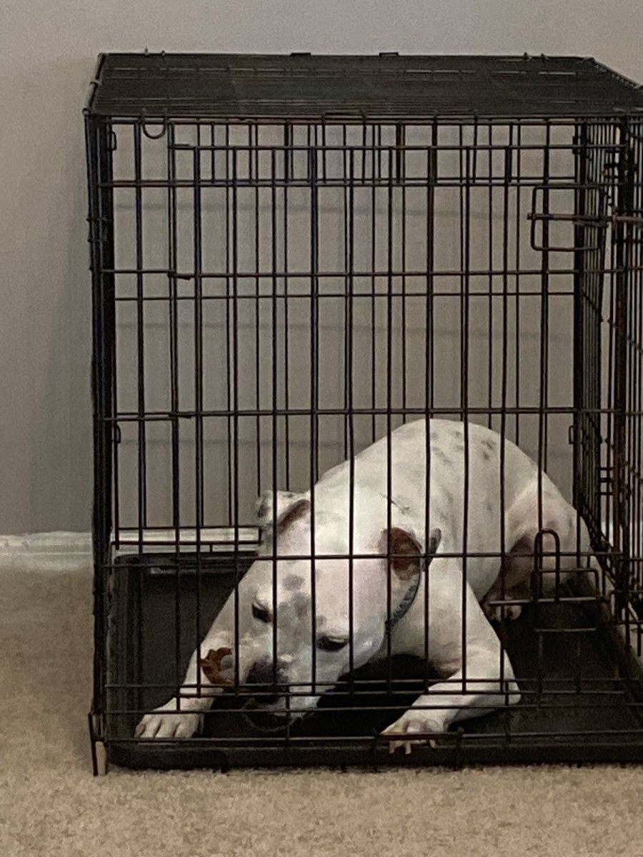 afrosabi or Yvette on Twitter "Some folks were asking about the