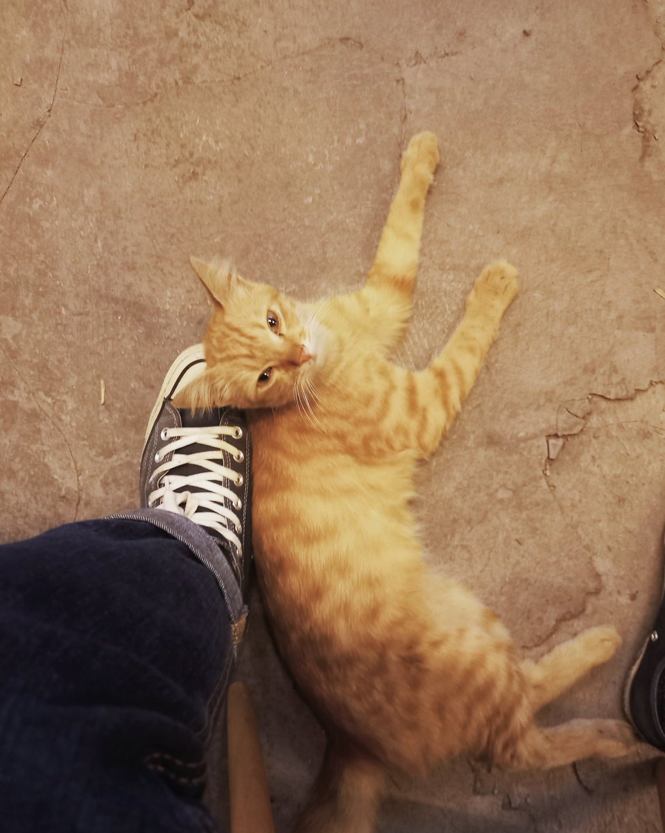 192.168.1.1 (@muhrodar) on Twitter photo 