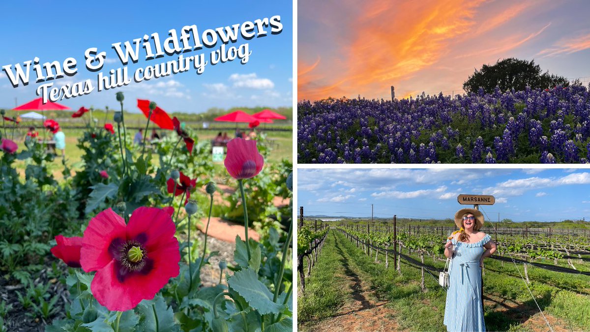 therosetable's tweet image. New episode featuring @KuhlmanCellars and @CarterCreekWine! Watch now: youtu.be/epDcIPykNfw

#wine #texas #fredericksburgtx
