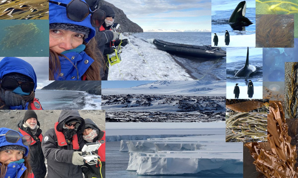 Ester Serrao tweet media