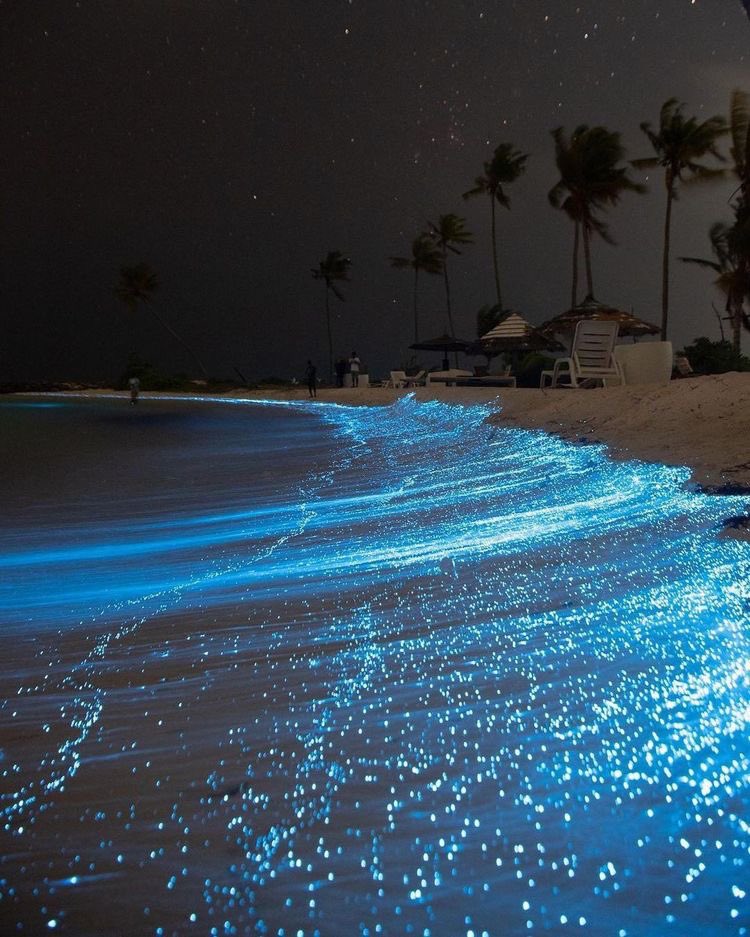 Amazing