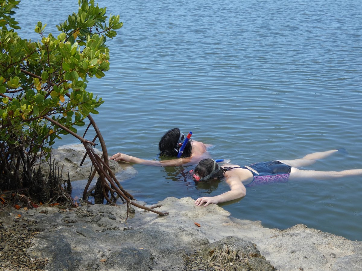 A few more awesome classroom and snorkeling snaps from yesterday! #ghsmarinebio2023