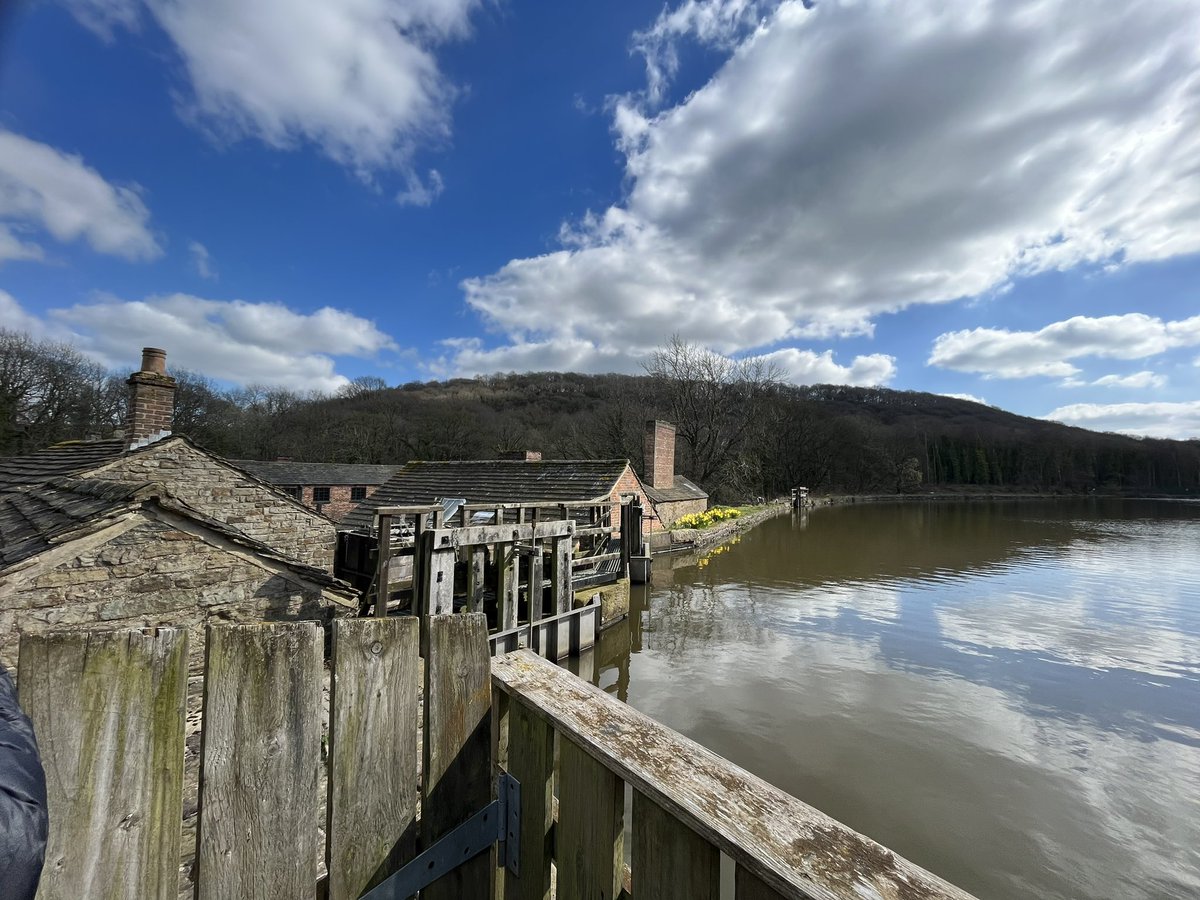 Russyn Cast tweet media