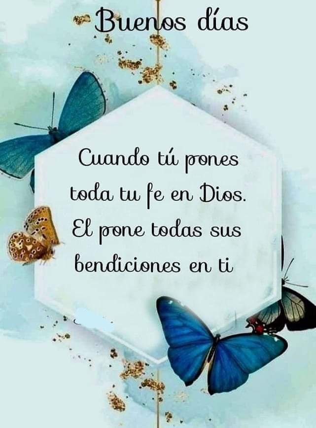 Lindo día