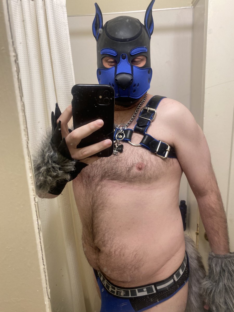 MuskyKnuts's tweet photo. Happy weekend everyone! 🐺 https://t.co/uHItLPHmpj
