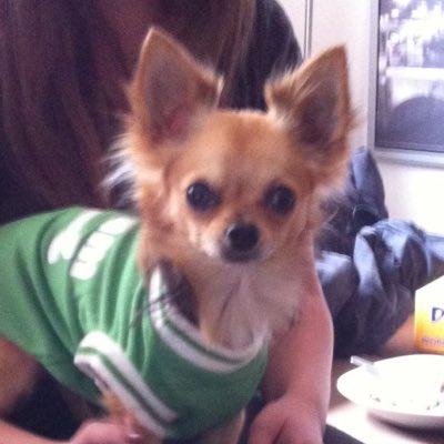 foerb90's tweet photo. #NeuesProfilbild https://t.co/as6YbBWSui