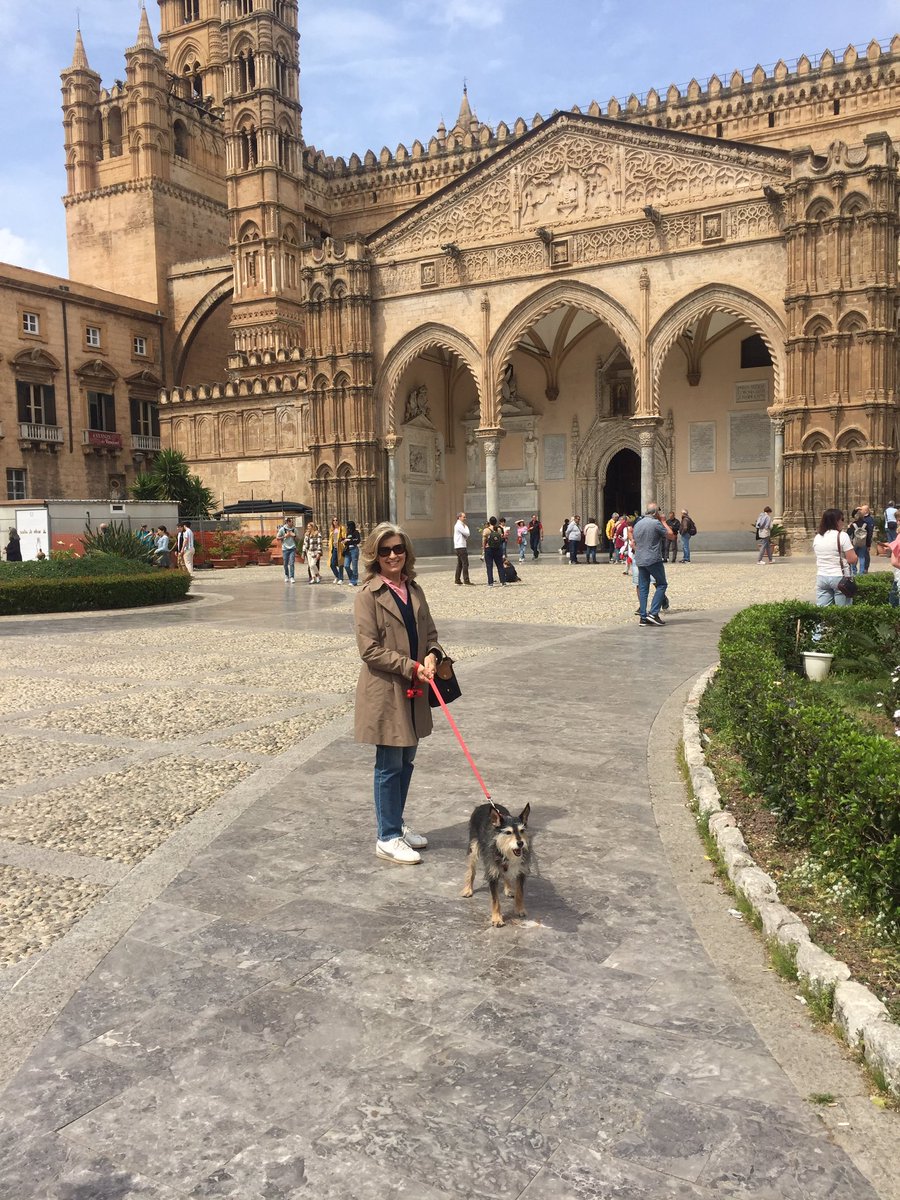 Oggi “domenica delle Palme”  lunga passeggiata con visita stupenda Chiesa di  San Giuseppe e storica Cattedrale di Palermo oltre che  attimi di riflessione gustando ottimo Gelato di caffè...!!  <a href="/gianlucaguidi/">Gianluca Guidi 🌊🎼🎶🎶🎶🎹</a>  <a href="/r_morabito/">richard c. morabito</a> <a href="/albertinamarz8/">Albertina Marzotto</a> <a href="/s_donati/">Stefano Donati</a>