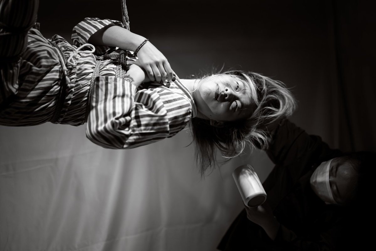 Mosaic cat_maomao tweet media