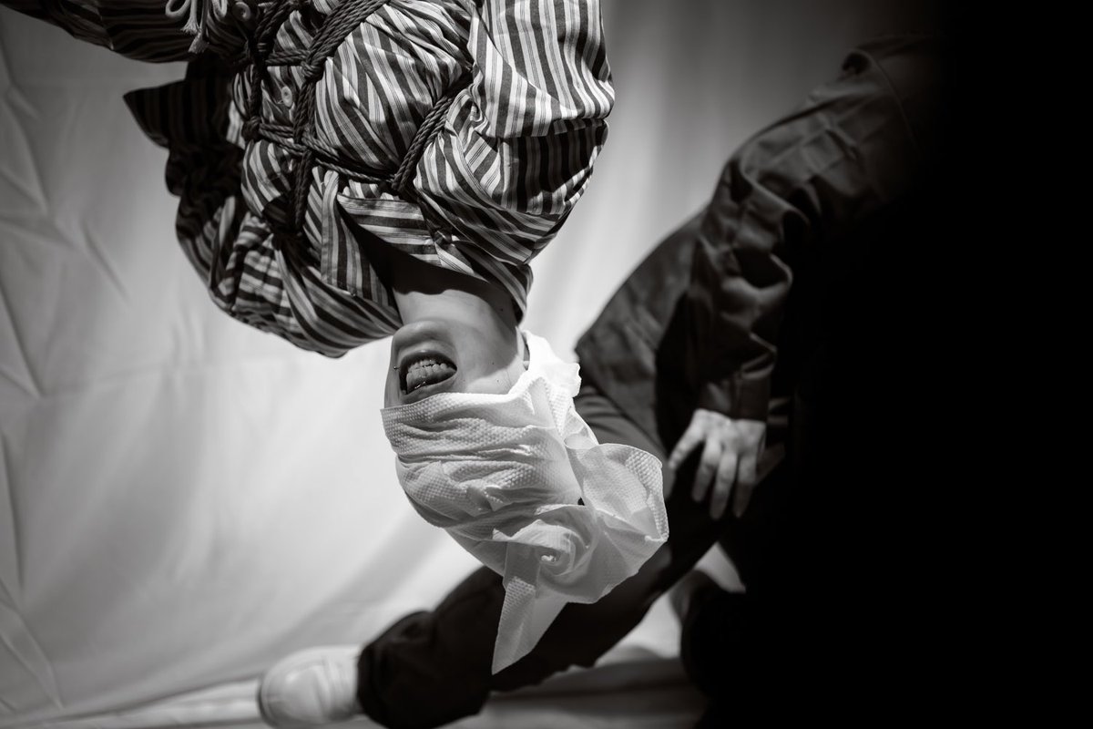 Mosaic cat_maomao tweet media