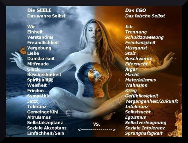 PhytobuyAndreas's tweet photo. Wer bist du???
Fütterst du dein Ego oder 
bist du dein WAHRES SEIN! https://t.co/IFIxsHzFFM