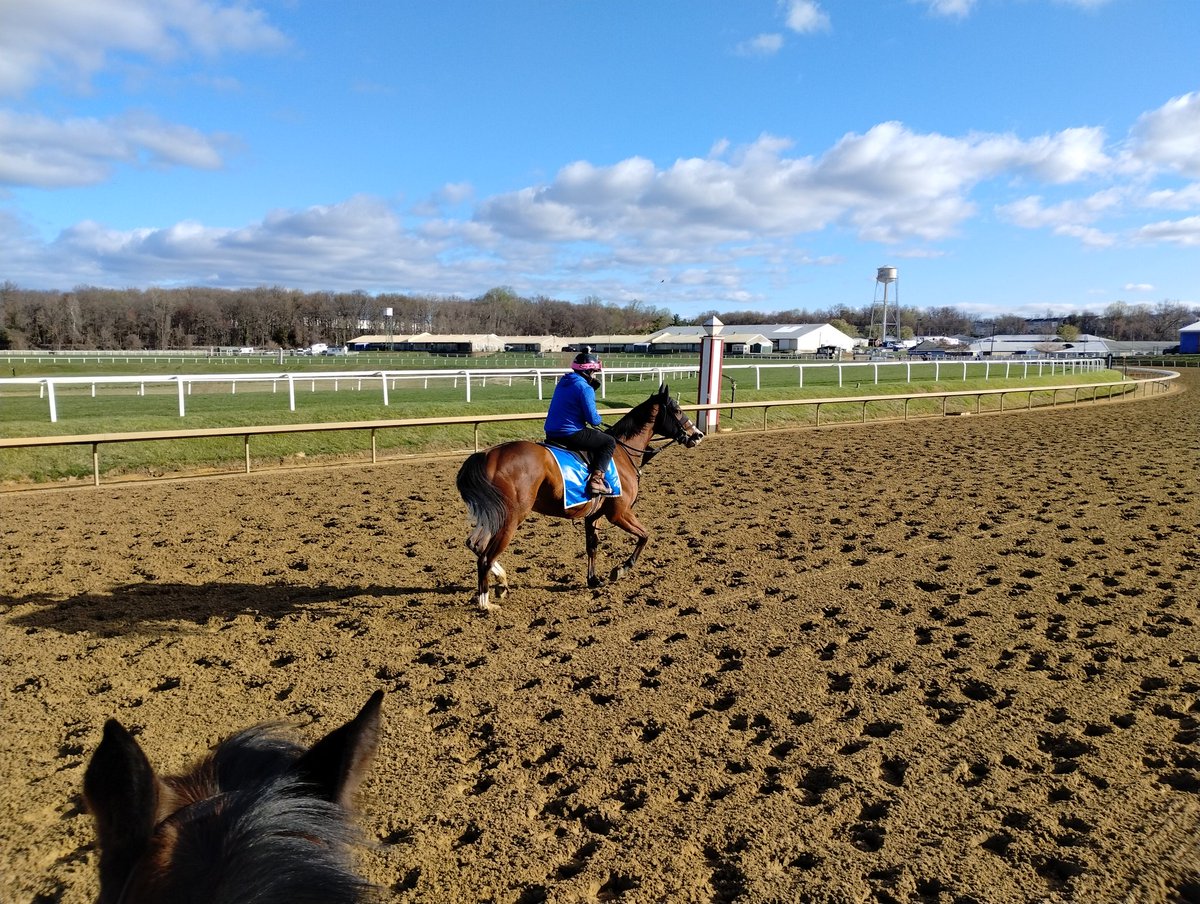 Windy but bright early Spring morning @LaurelPark @DilodovicoS . GM. We have one runner in the third.