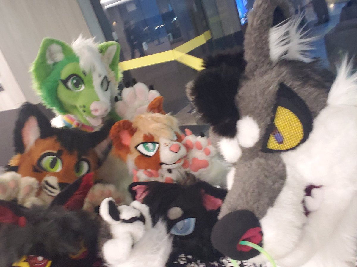 Dragon Fox Doodle Box 🐉🦊✏📦 tweet media