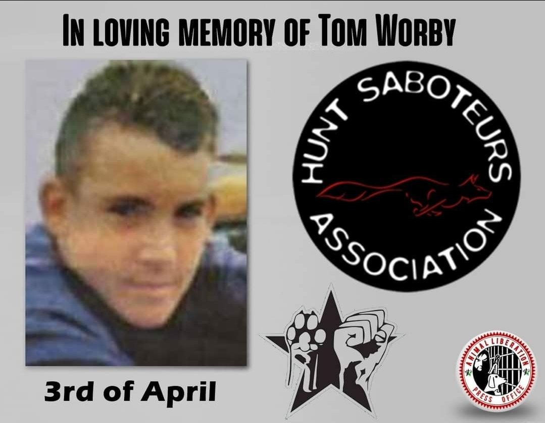 daveefrogdog's tweet photo. Remembering Tom Worby @HuntSabs @HsaChair 
#TomWorby #HuntSab https://t.co/zu8kAvsC3W