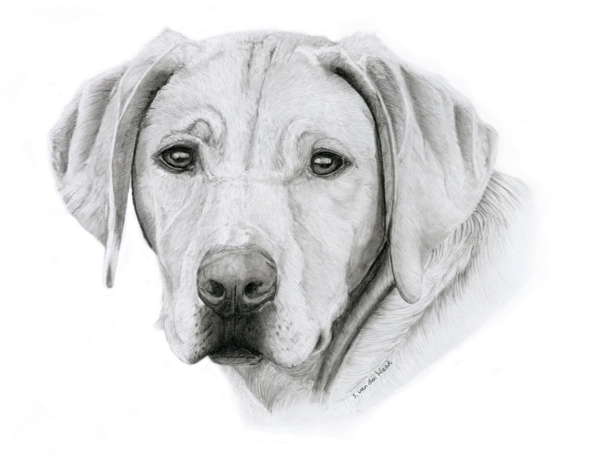 Throw back portrait, still one of my all time favs!