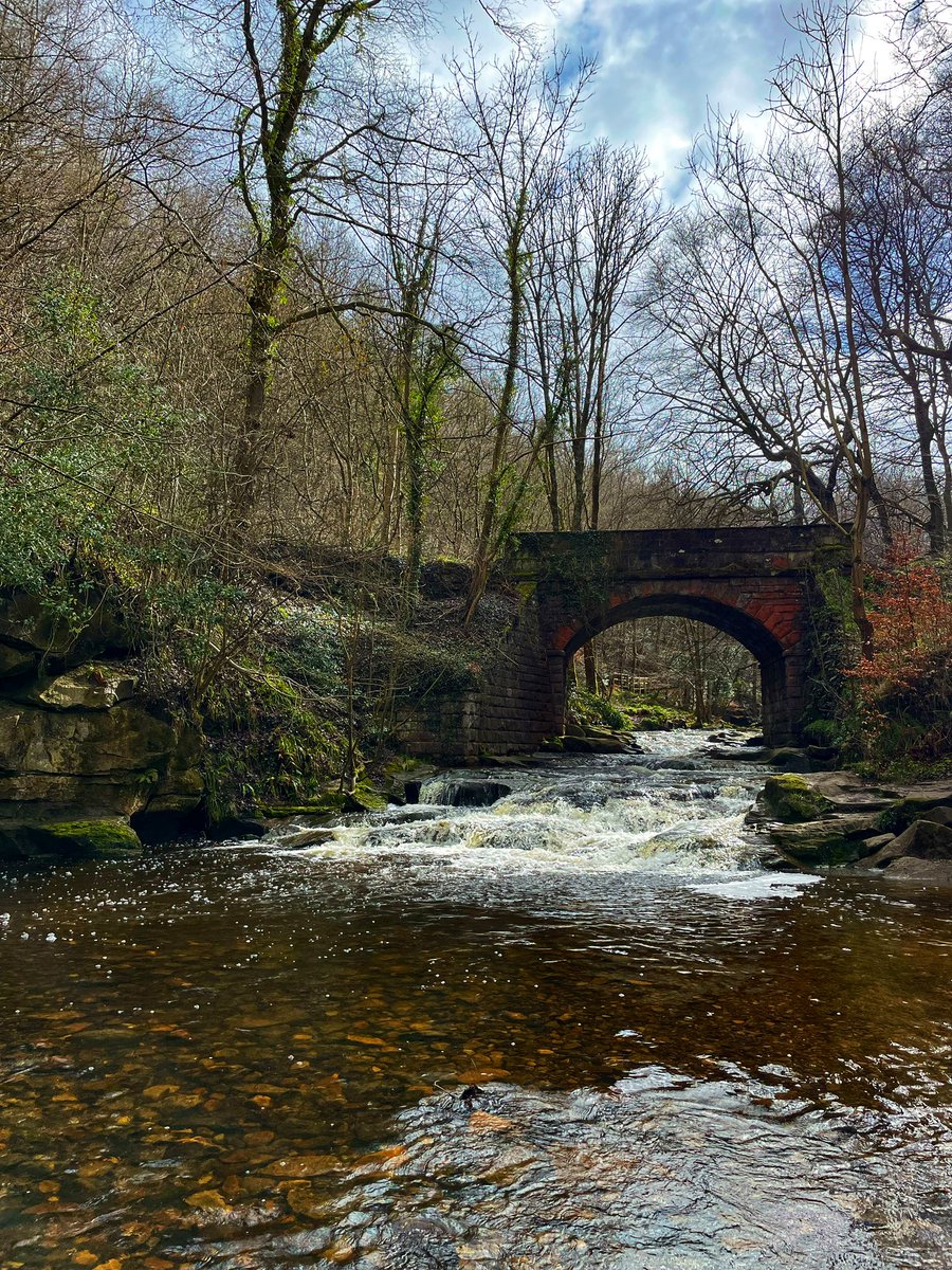 MrsAEYFS's tweet photo. A few more from #fallingfoss https://t.co/ns6aU37XSH