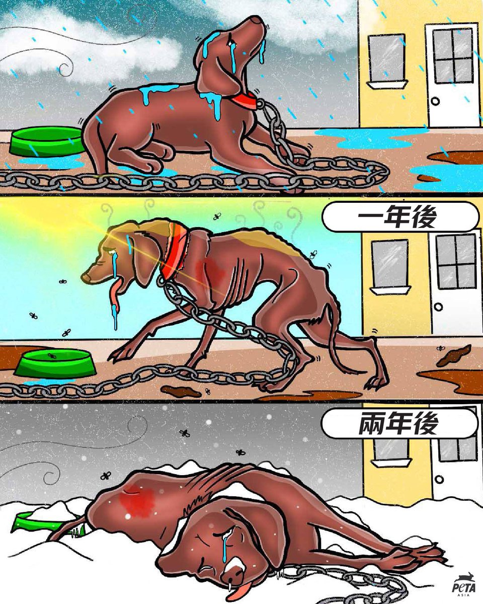 PETAAsiaTC's tweet photo. 被鐵鍊栓住的一生💔🐕😞

#狗狗 # #動物權益 #為動物發聲 #BanChaining https://t.co/SxiYqoycll