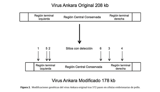 lavirologa's tweet photo. 💉Vacunas frente a la viruela del mono #monkepox
https://t.co/r3PNMnEXO5 https://t.co/vW38VZgl0k