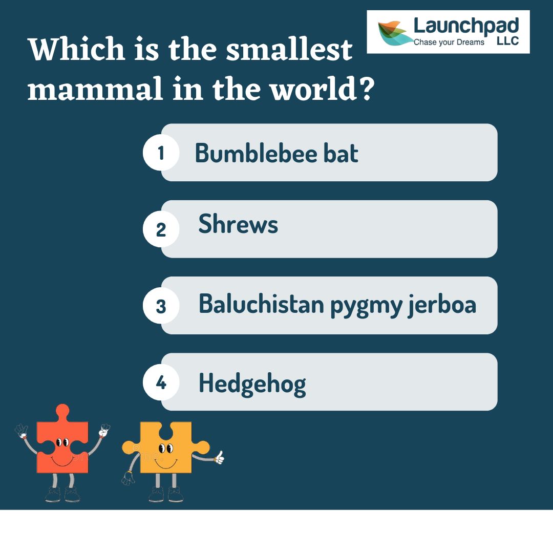 LaunchpadLLC's tweet photo. Puzzle Time
#launchpadllc #launchpad #chaseyourdreams #skilltrainer #skillmoves #skillpath #skilltranining #skilldevelopment #skills #career #careersuccess #careercounsellingservice #careerguidance #careercoach #puzzletime #tnpsc #competitiveexamquestions #generalknowledge https://t.co/ahV4fHu2KN