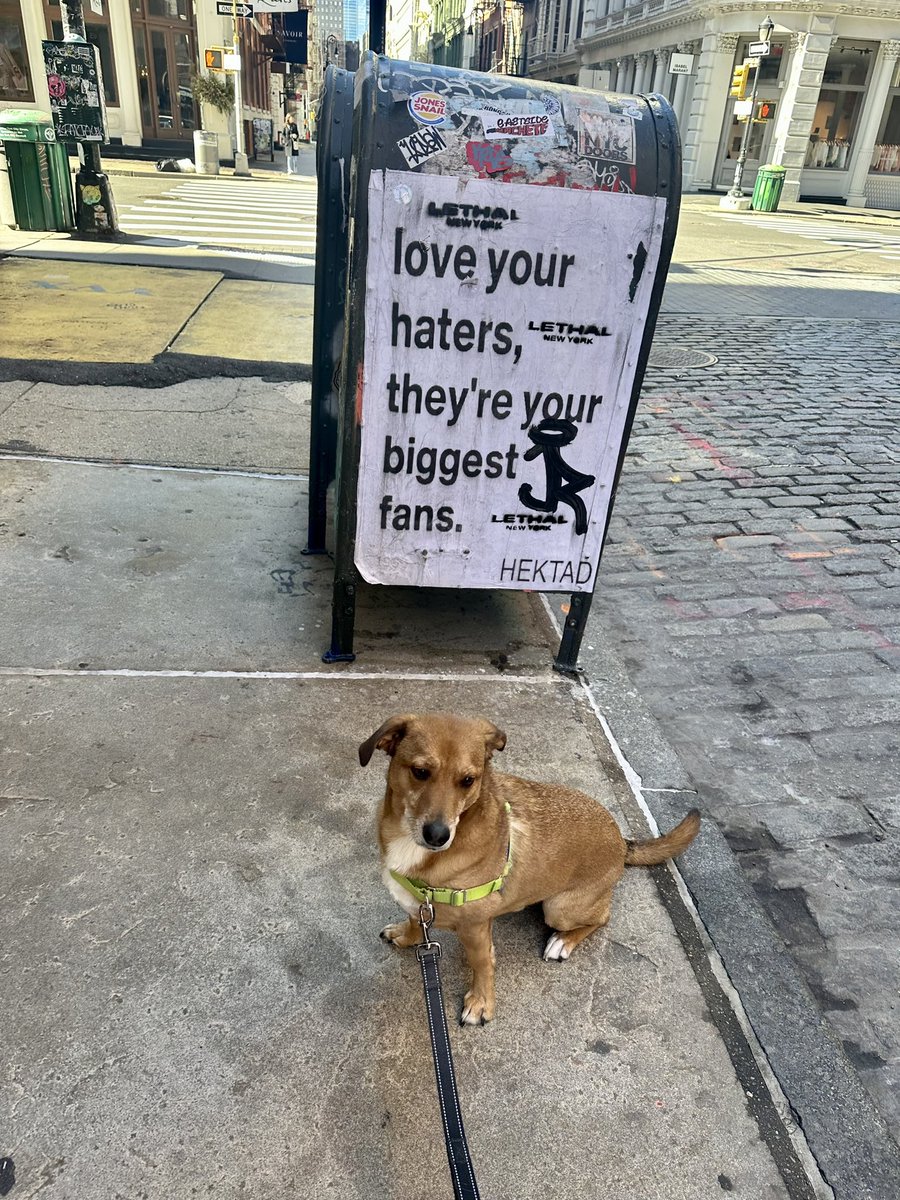 Veronica de Souza tweet media