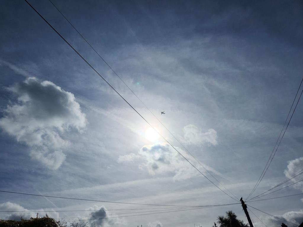 Peter Oakes tweet media