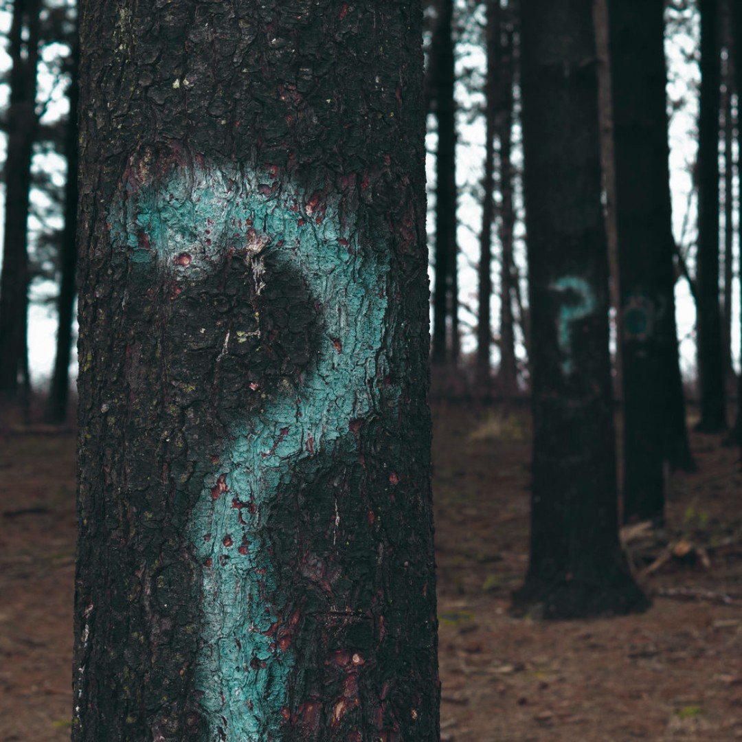 🎟️ #LiveOak2023 Ticket Info: Everything You Need to Know! 🎟️
Have questions about ticket prices, types, or purchasing options? Head over to our FAQs page at liveoakfest.org/faqs for all the details. 

Grab your one-day or three-day tickets and join us from June 23-25! 🌳🎵