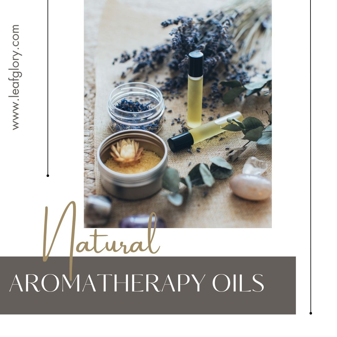 Leafglory_'s tweet photo. #leafglory📷📷
📷Natural Aromatherapy Oils
Visit: https://t.co/025wc9AY1E
#naturalskincare #NaturalBeauty #aromatherapy #essentialoils #aromatherapyoils #aromatherapyblends #aromatherapymassage #aromatherapyskincare #MassageTherapy #massagebenefits #OilsForLife #oilsforeverything https://t.co/oVoBmtxHJb