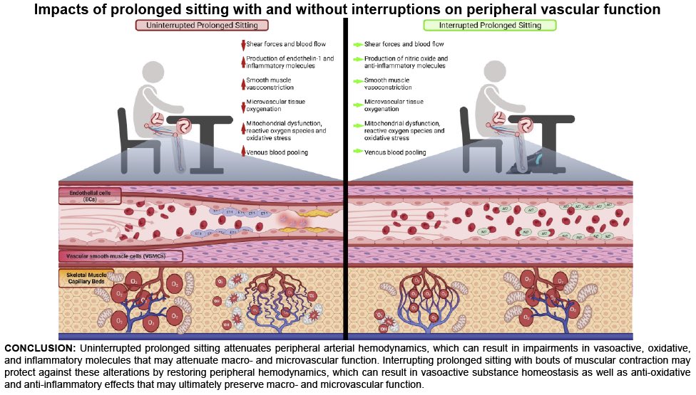 dronita_de's tweet photo. Prolonged sitting and peripheral vascular function: potential mechanisms and methodological considerations…
https://t.co/ovbHQ7trhl
@_atanas_ #DHPSP #Scicomm2 @_MCRicardo_ https://t.co/VpA4HfeoqY