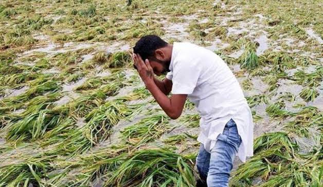 ManiMani19909's tweet photo. #https://www.downtoearth.org.in/news/agriculture/unseasonal-rains-hailstorms-damage-over-18-000-hectares-of-agricultural-land-in-maharashtra-88309 https://t.co/f3roEPuUH5