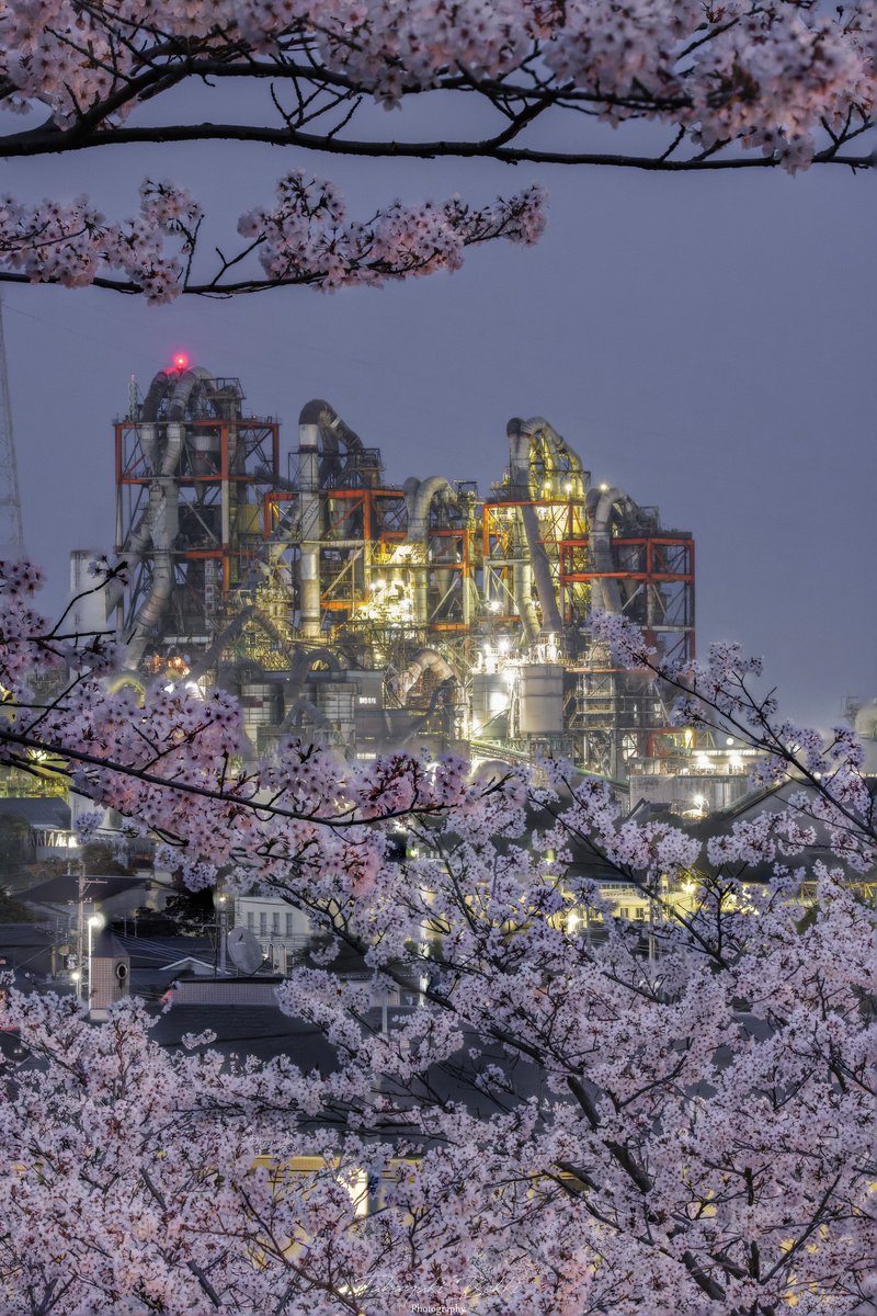 takabou_photo's tweet image. 桜と工場夜景

#桜
#tokyocameraclub 
#キヤノン党でほめあいたい 
#UBE三菱セメント九州工場