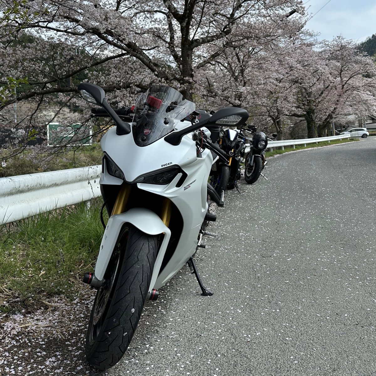 williaminJP2010's tweet photo. 桜吹雪鑑賞しに行きました
#ducati #supersport950s #myfirstducati #ドゥカティ #ドゥカティいいじゃん #スーパースポーツ #gaijinrider https://t.co/hX4N9cX1QA