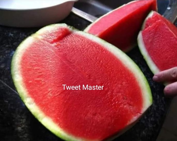 Tweet Master tweet media