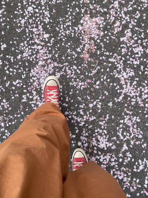 今日は花や海や自然と接して充実したなあやはり自然の恵みは大事だ 