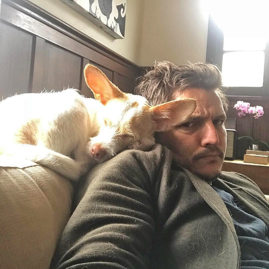 How can you not love this guy? Feliz cumpleanos and happy birthday, Pedro Pascal! 