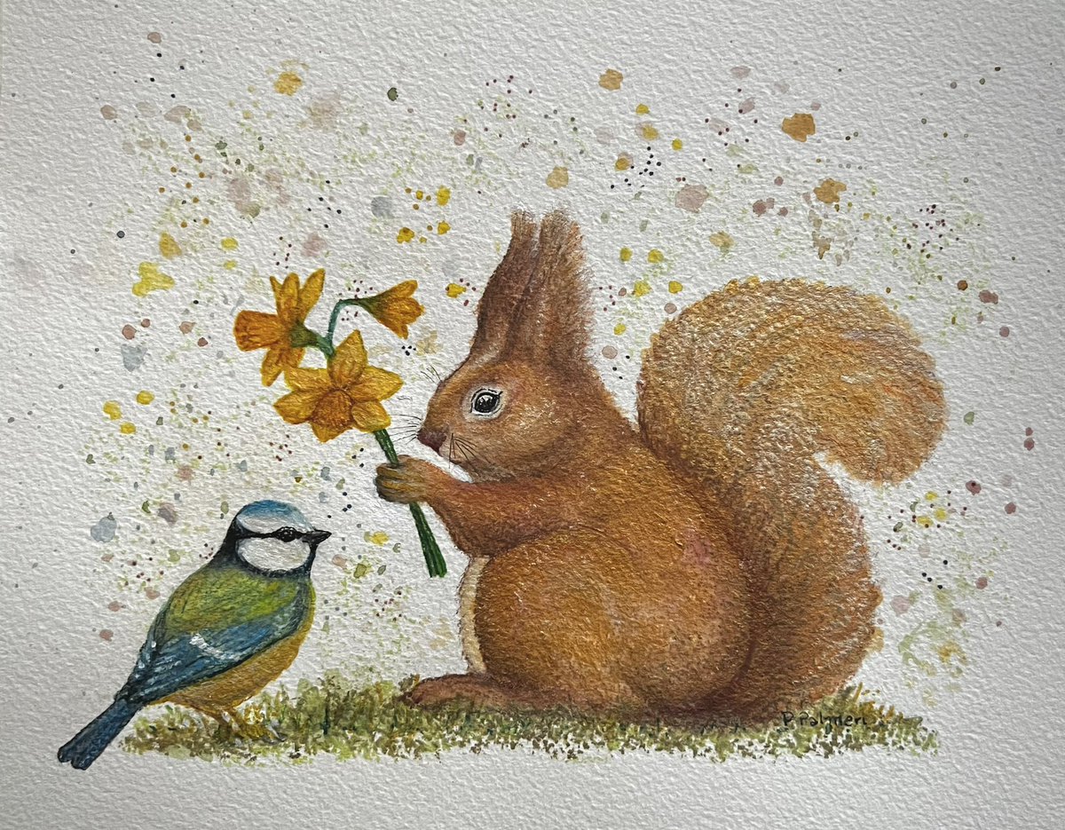 Happy spring! ‘Squirrel and blue tit’ A5
#watercolour #acrylicart #squirrel #bluetit #illustrationart #illustrationoftheday #daffodils #animallover #animal #artist #squirrellove #birds #birdlovers #pajaritos #pajaro #ardilla #Azucena #petrapalmeri #guernsey #guernseyart