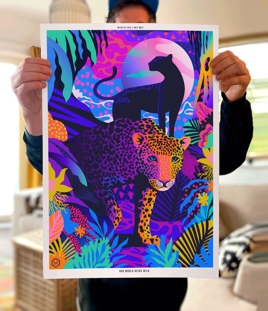 Details from our new Our World Needs Wild print from @moly_uk 'Night Leopards' 💚💚💚 A3, A2 & A1 for 40/60/80 GBP 100% profits to leopard conservation 🌏 Available here: pardicolor.org/shop #wildlifeart #leopards #artistsontwitter #wildlifeartist #artforconservation