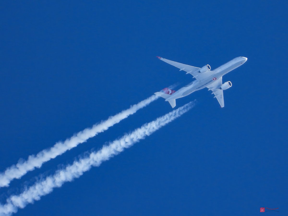 TheSnoopySnoop's tweet photo. #TK32 🇹🇷 Turkish Airlines
Airbus A350-941, TC-LGJ
625mph, 39,000ft (7.4 miles), ATL/IST
#AvGeek #Planespotting #aviation #aviationphotography #nikonphotography @TurkishAirlines https://t.co/RIwzSXfwxC