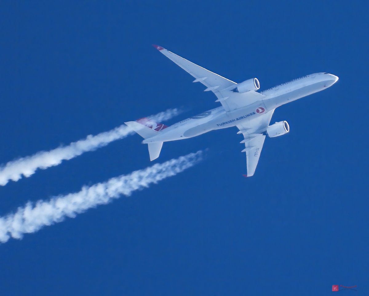 TheSnoopySnoop's tweet photo. #TK32 🇹🇷 Turkish Airlines
Airbus A350-941, TC-LGJ
625mph, 39,000ft (7.4 miles), ATL/IST
#AvGeek #Planespotting #aviation #aviationphotography #nikonphotography @TurkishAirlines https://t.co/RIwzSXfwxC